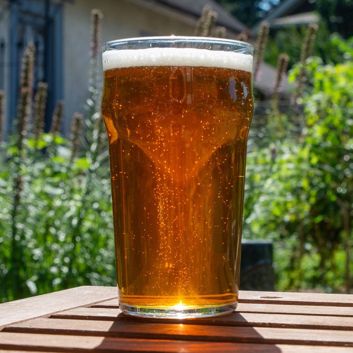 Root Shoot Summer Ale in a glass