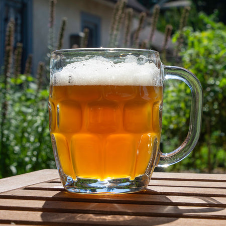 Root Shoot Helles Bock in a glass on table