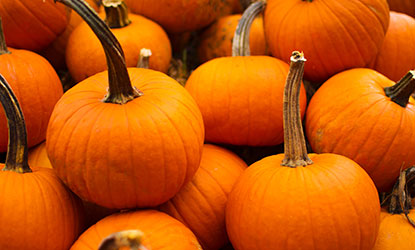 How to make Smashing Pumpkin Ale with Real Pumpkin