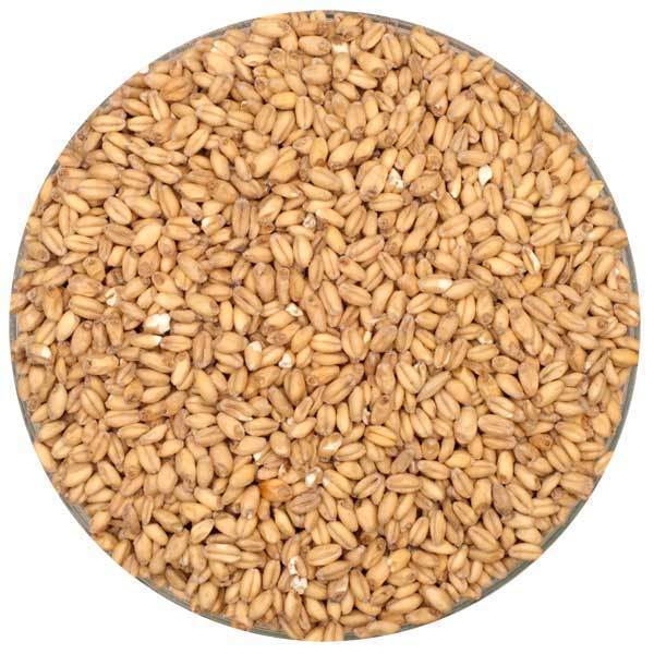 White Wheat Malt - Briess - 50 lb. Sack